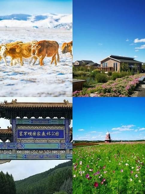 一张图看懂河北省承德市承德县今日疫情数据(承德县疫情情况)