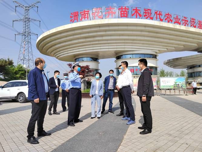 【陕西省渭南市临渭区通报12例死亡病例详情,陕西渭南临渭区今日疫情】