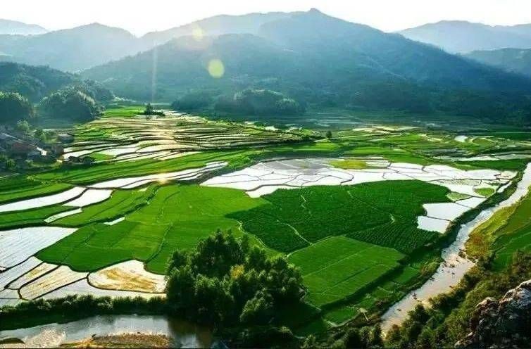 专家:宜黄县每年或现多个感染高峰(宜黄县疫情最新消息)