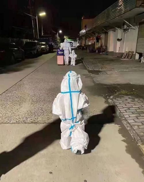 关于江苏省扬州市扬州经济技术开发区新增2例核酸阳性，从涉1省抵奉新县的信息