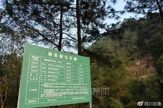 资中县3月11日新增感染趋势蔓延/资中县疫情