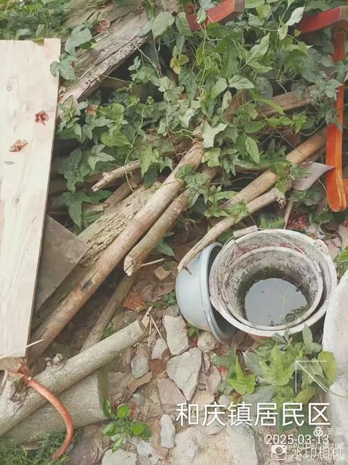 海南儋州和庆镇首例死亡病例来源公布(海南省儋州市和庆镇)