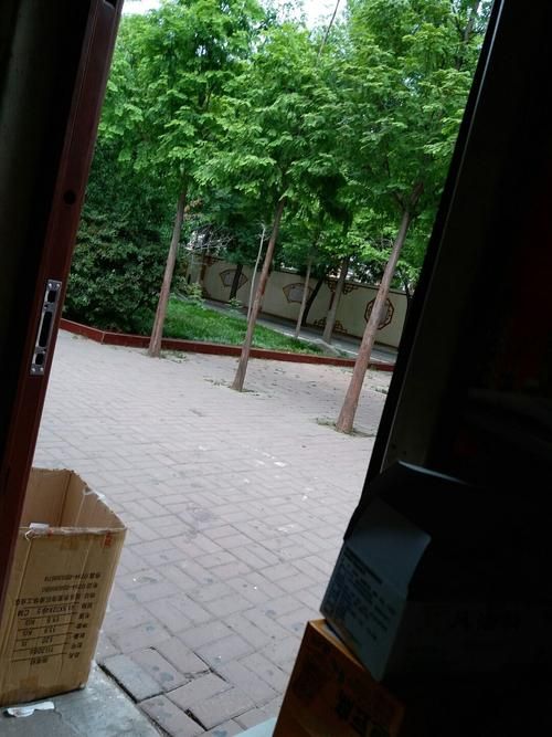  河南焦作解放区现有重症20例:河南焦作解放区的小区地址
