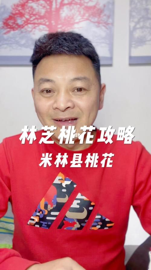 【米林现有核酸阳性6例,米林县在哪】