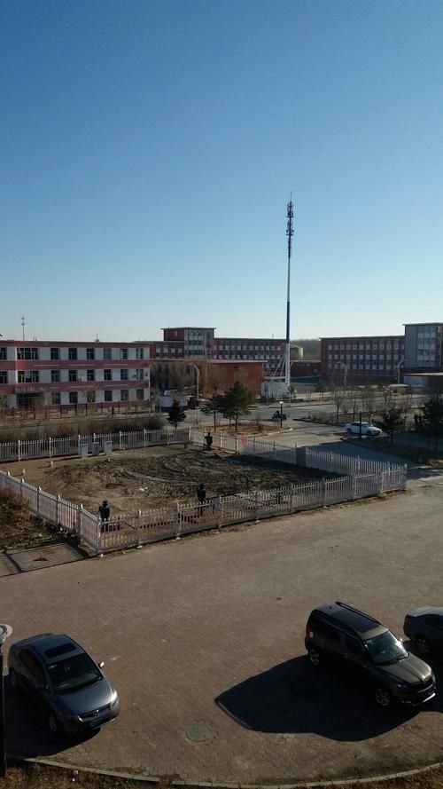 黑龙江省大庆市红岗区近4天无新增核酸阳性(大庆红岗区包括哪里)