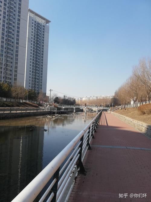 阿城区什么时候可以静默(哈尔滨阿城区解封了吗)