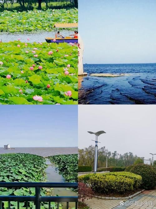 【益阳大通湖管理区今日新增感染趋势结束,益阳大通湖门户网】