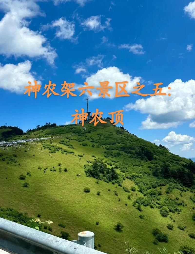 【专家:神农架林区每年或现多个感染高峰,神农架林区是什么地方】