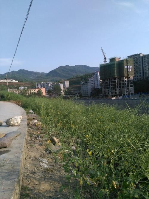 【陕西省安康市旬阳市现有无症状感染者6例,安康旬阳疫情管控】