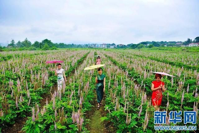 【江西宜春万载县疫情静默最新消息,江西宜春万载最新新闻】
