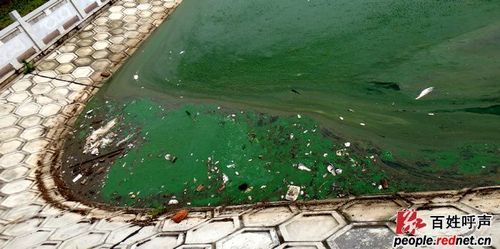 湖南省益阳市沅江市新增21例阳性感染者及30例无症状/红网益阳沅江