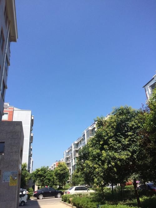  一张图看懂河南省商丘市宁陵县12月19日疫情数据:商丘市宁陵县疫情严重吗
