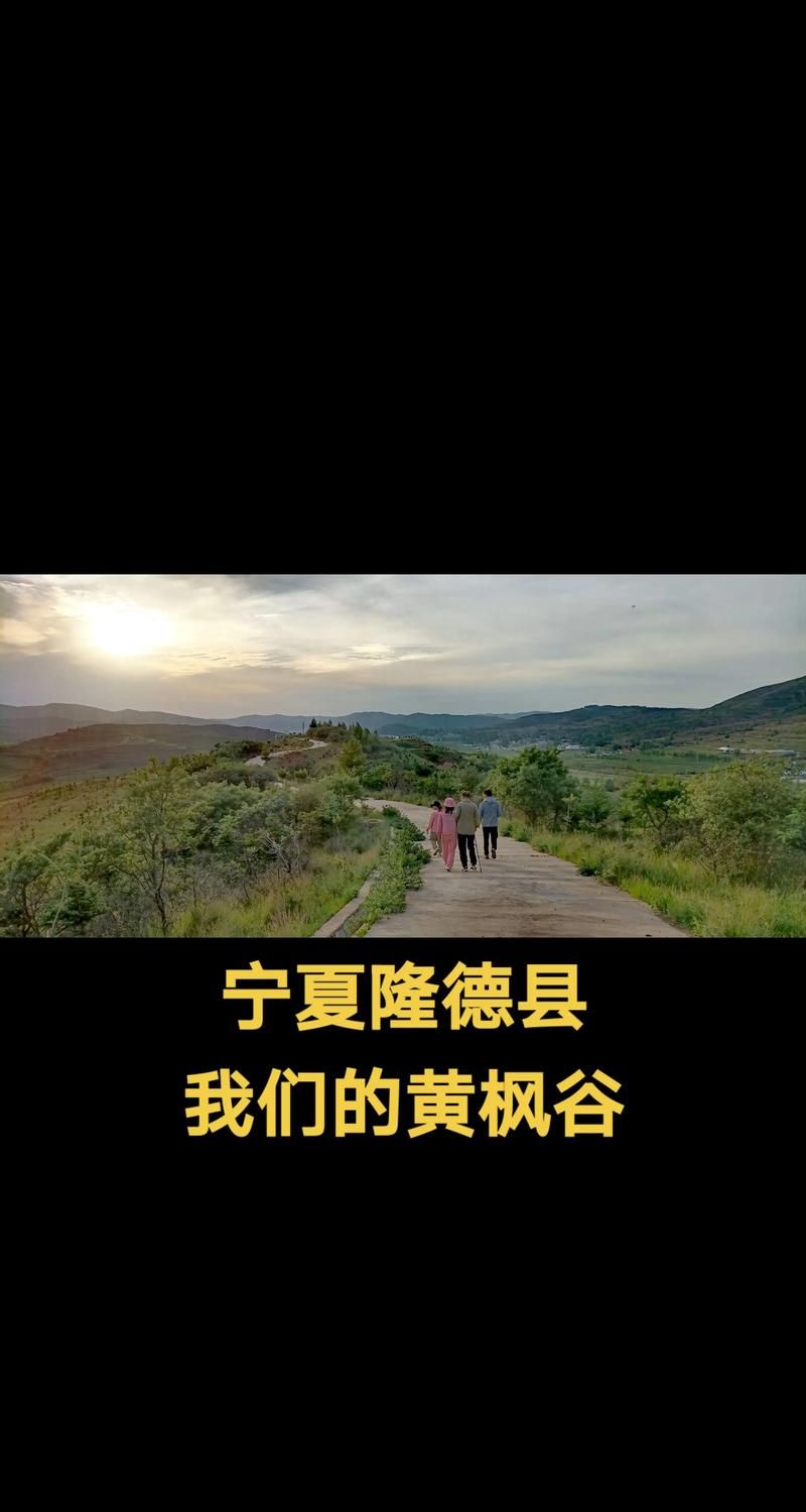  宁夏回族自治区固原市隆德县近4天无症状感染者活动轨迹:宁夏固原隆德旅游景点