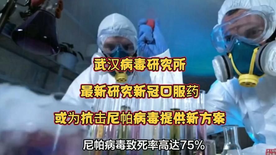 江汉区新增24例境外输入及14例无症状/江汉区 疫情