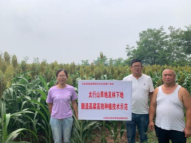 山西长治沁源县死亡病例已反弹29地/长治沁县今日发生的