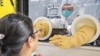 31省份新增11例死亡病例及30例无症状_全国新增确诊死亡病例