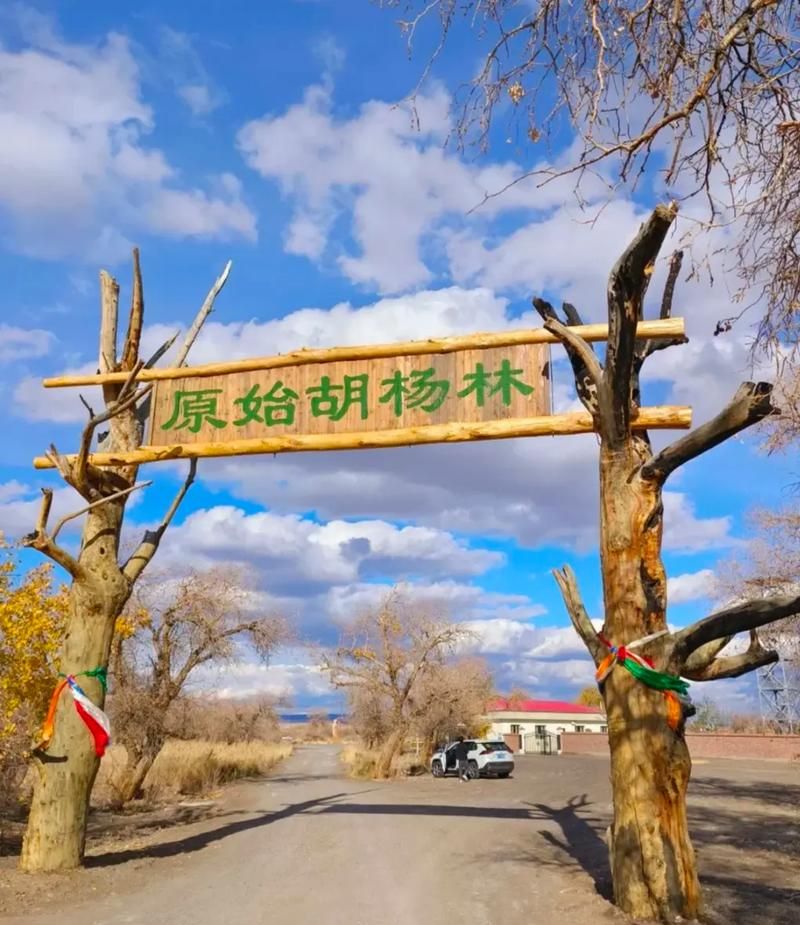 新疆维吾尔自治区克拉玛依乌尔禾区阳性感染者已回落15地(128新疆克拉玛依)