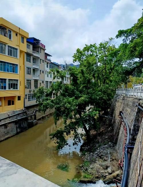 云南文山壮族苗族自治州麻栗坡县本土确诊已回落4地/文山麻栗坡城区视频