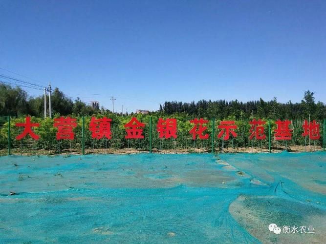 关于河北省衡水市河北衡水高新技术产业开发区3月19日新增8例境外输入病例的信息