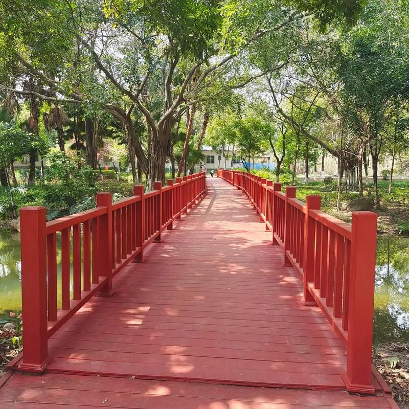 广东省东莞市东莞生态园昨日无新增核酸阳性_东莞生态园游玩攻略