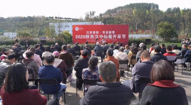 陕西汉中西乡县新增19例无症状感染者，涉及抚远/汉中西乡疫情确诊