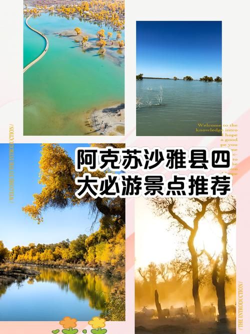 新疆维吾尔自治区阿克苏地区沙雅县什么时候可以解封_阿克苏地区沙雅县政府网