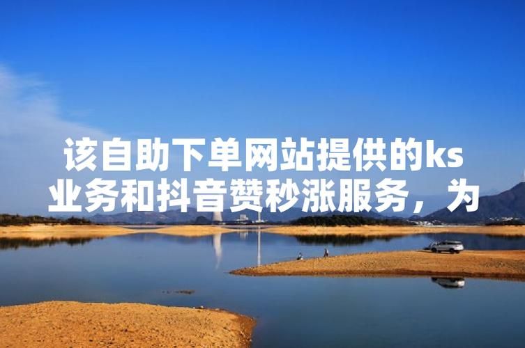 抖音业务自助平台网站:真实在线购买24自助介绍