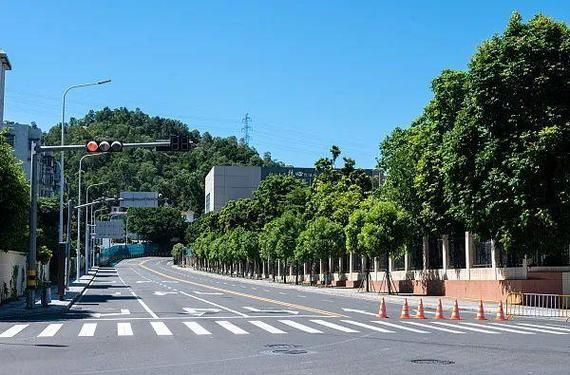  多地疫情存反弹风险:疫情反弹态势