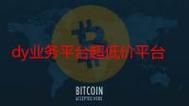 dy自助下单业务平台：秒懂百科
