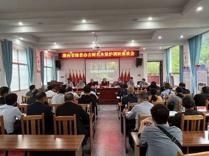 【湖南永州双牌县疫情封城最新消息,湖南永州双牌县疫情封城最新消息通知】