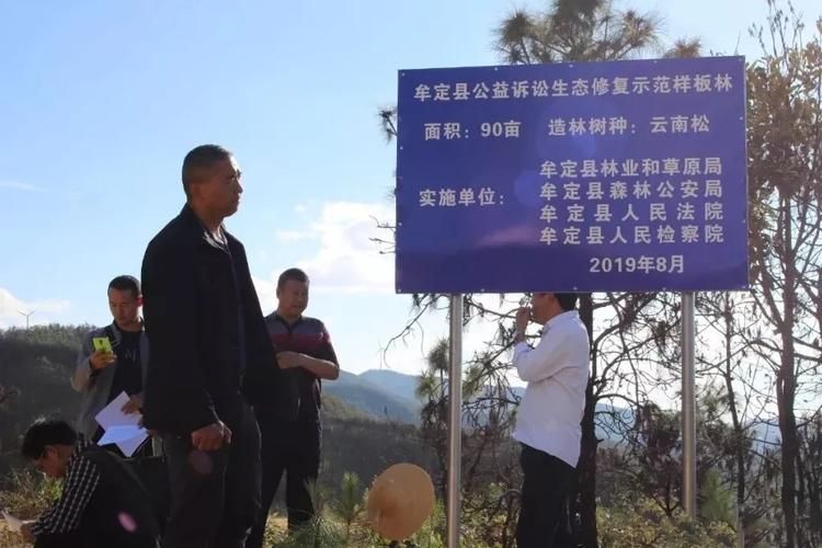 云南省楚雄彝族自治州牟定县新增5例阳性感染者及12例无症状/楚雄牟定最新招聘信息