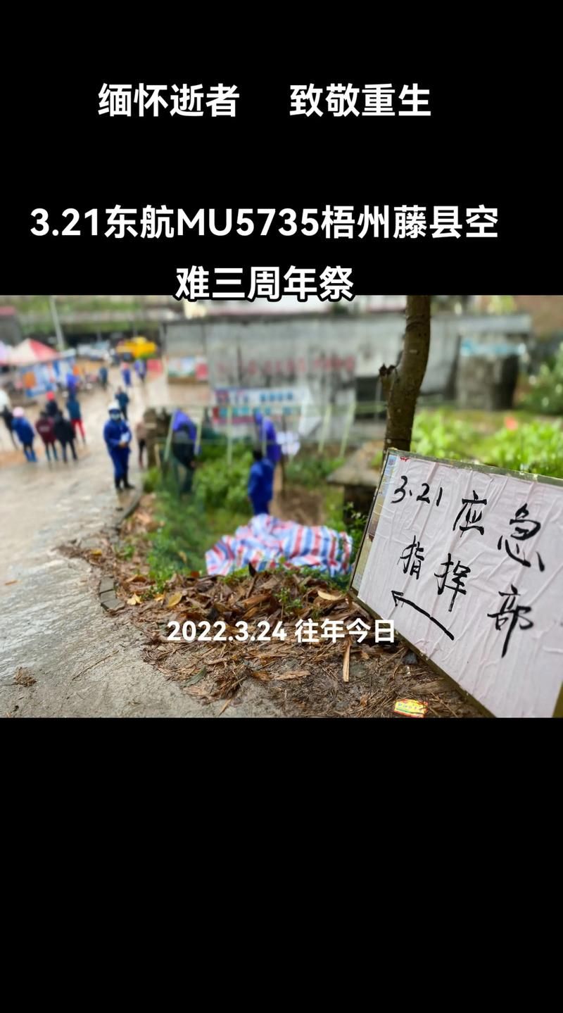  广西壮族自治区梧州藤县今日新增重症5例:广西梧州滕县疫情最新消息通知
