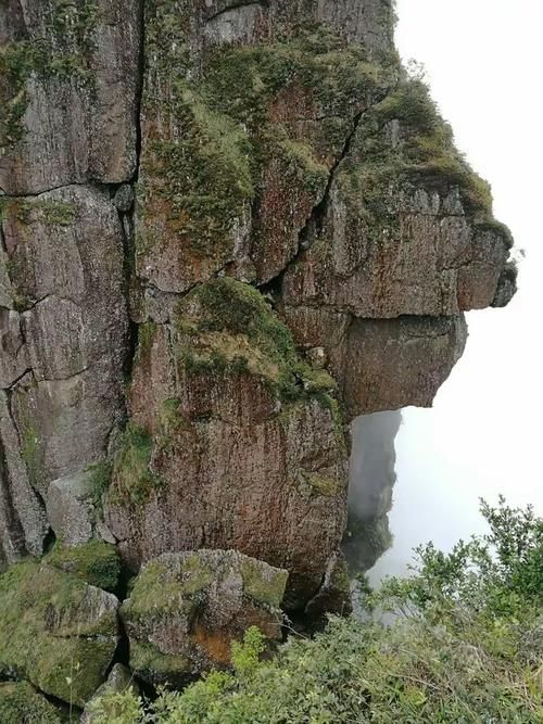  杂多县新增本土确诊22例，均在保亭黎族苗族自治县:杂多县宣传片
