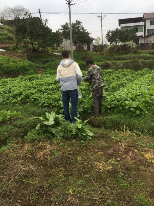 四川省广安市华蓥市疫情足不出户最新消息(四川省广安市华蓥区)