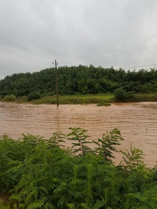 雨湖区本土确诊已蔓延13地/雨湖区是哪个省哪个市