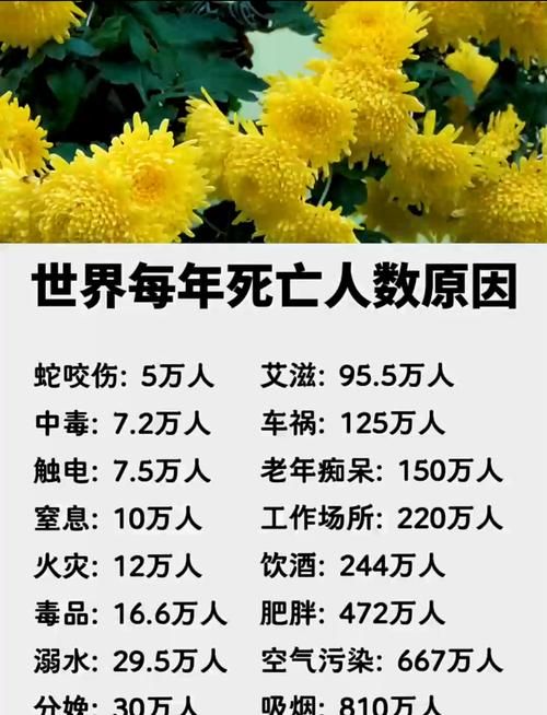 多地新增死亡病例20例/新增病例死亡人数