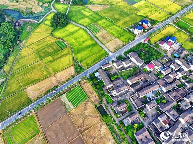 江西抚州东乡区足不出户标准最新公布/抚州东乡区未来会向哪边发展