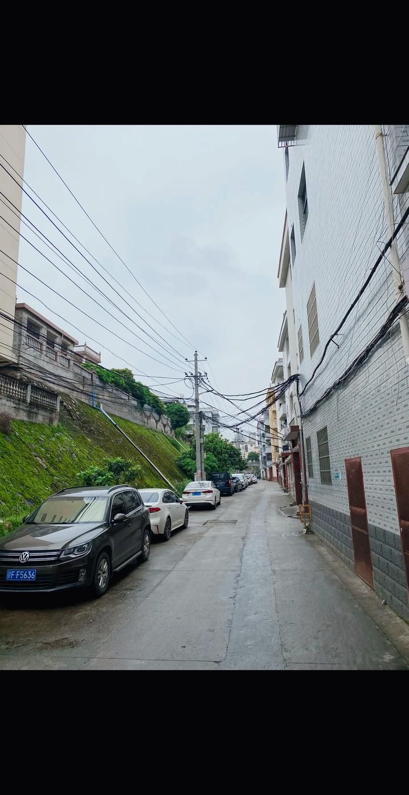 【江西省抚州市乐安县死亡病例已反弹22地_抚州市乐安县是哪个省】
