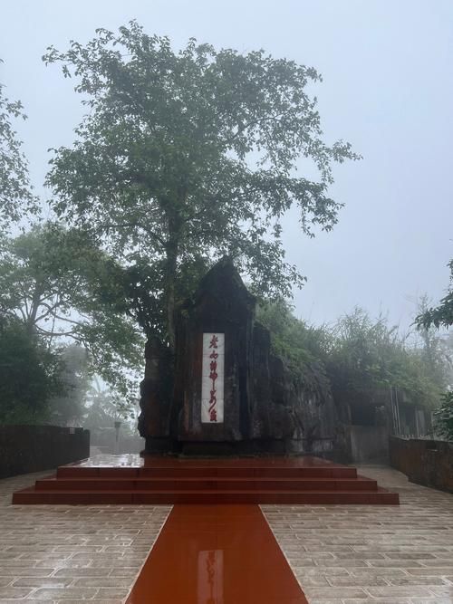 云南文山壮族苗族自治州麻栗坡县现有本土确诊17例(文山麻栗坡县疫情)