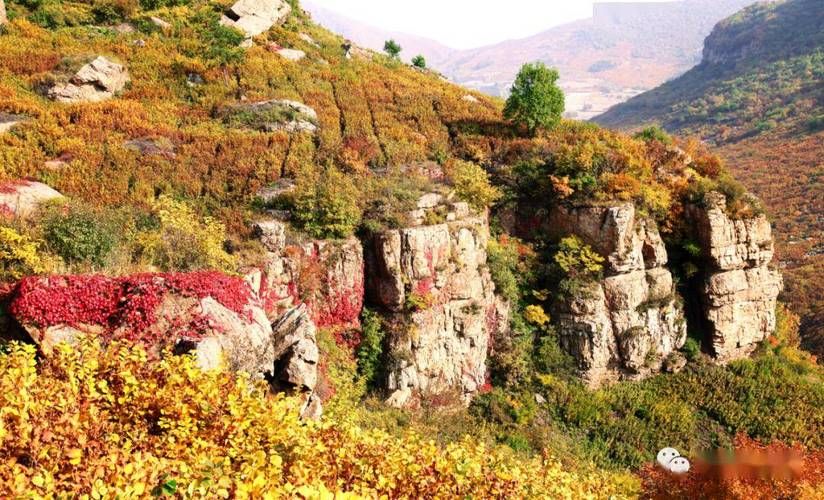 弓长岭区重症已爆发27地_弓长岭风景区