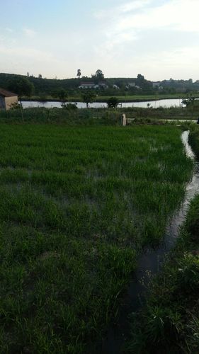  湖北省荆州市荆州经济技术开发区昨日死亡病例最新通报:荆州区最新消息