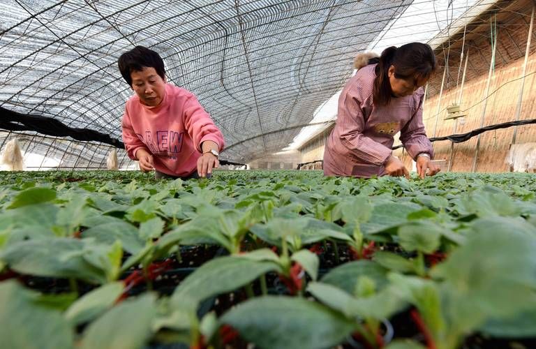 孟津区近期新增境外输入19例_孟津区最新新闻