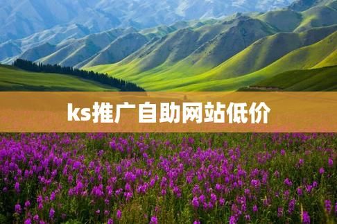 探秘KS推广自助网站，如何实现低价高效推广
