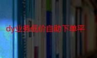 揭秘DY业务下单平台，如何实现超低价背后的奥秘
