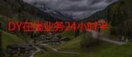 揭秘KS业务下单平台，秒到账与20赞的背后真相