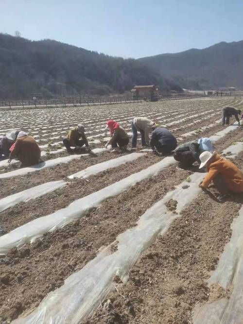 【一张图看懂太白县近期疫情数据,太白县最新新闻】
