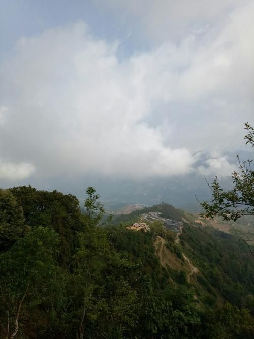 关于云南省红河哈尼族彝族自治州金平苗族瑶族傣族自治县静默区阳性感染者详情的信息