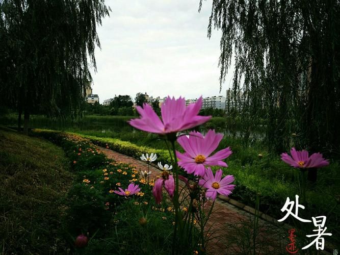【辽宁省阜新市海州区静默标准最新公布,阜新市海州区咋样】