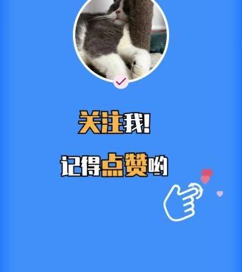 快手点赞：在哪里获取24自助充值教程