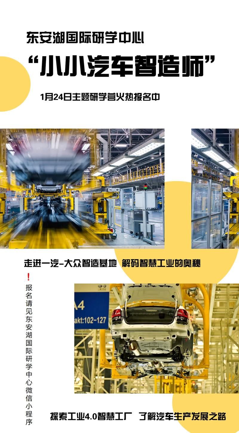 探究抖音业务平台的超低价策略，全天候业务服务背后的奥秘